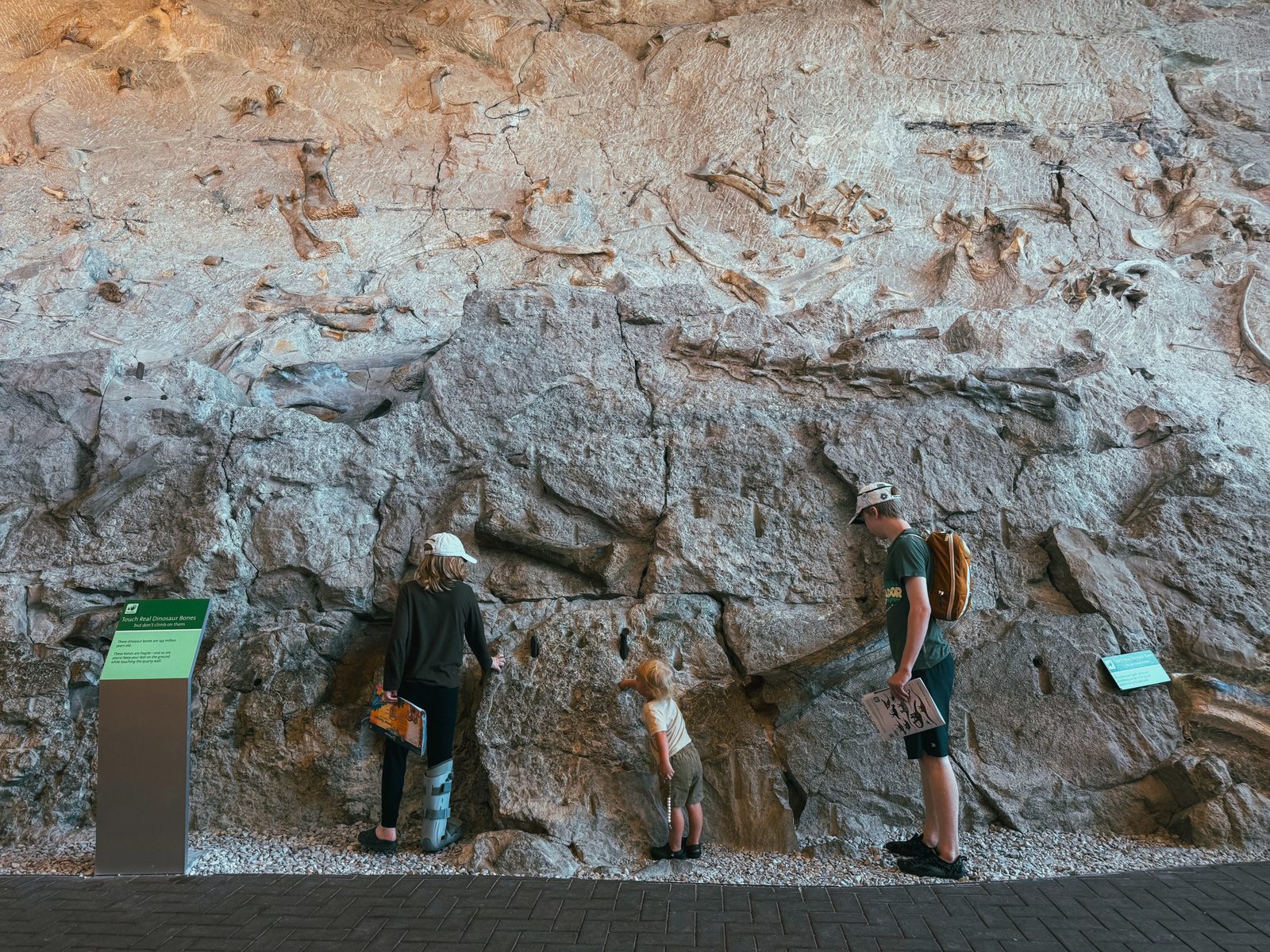 Top 5 Things to Do with Kids at Dinosaur National Monument