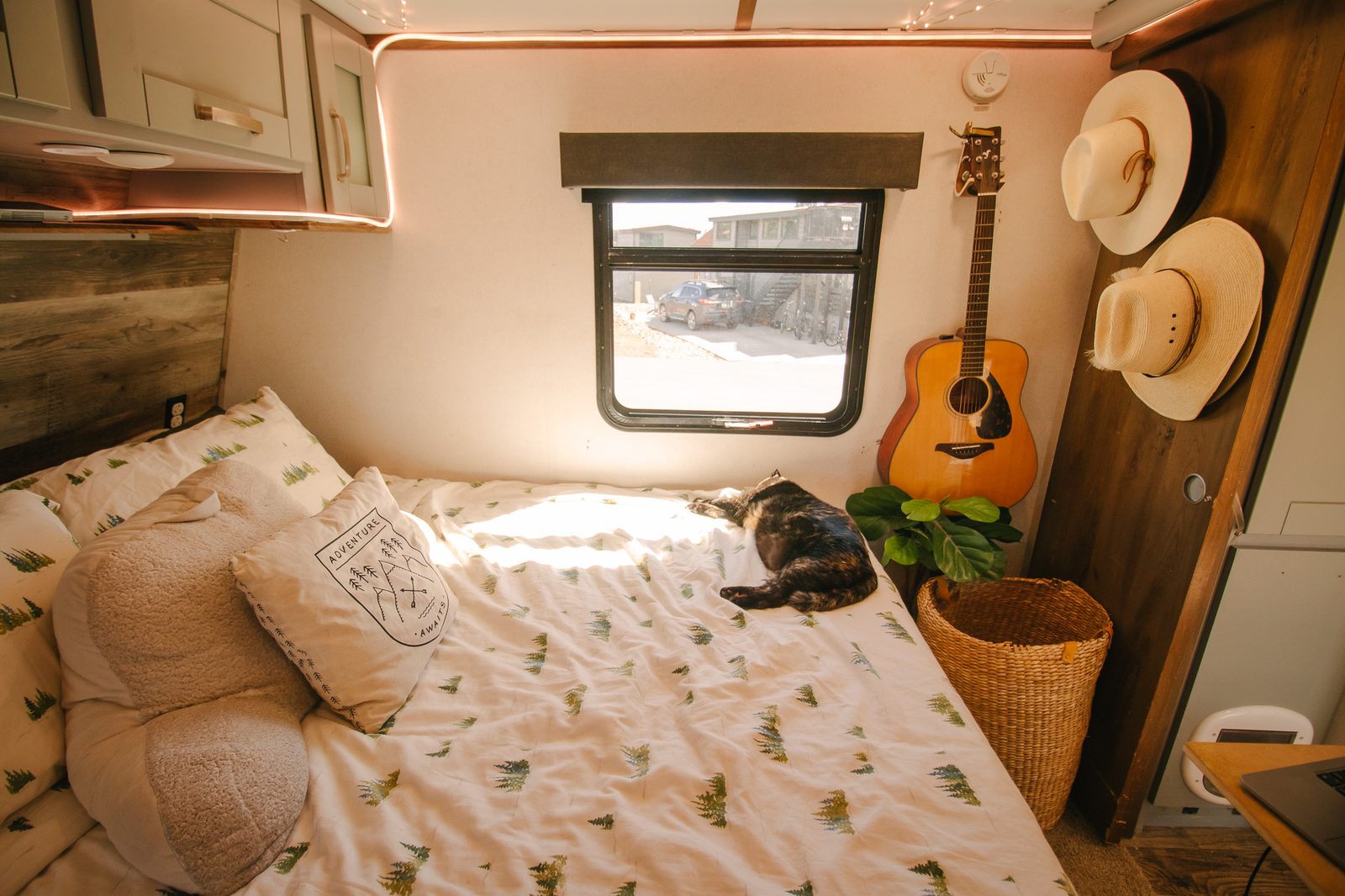 Primary Bedroom — photo 1