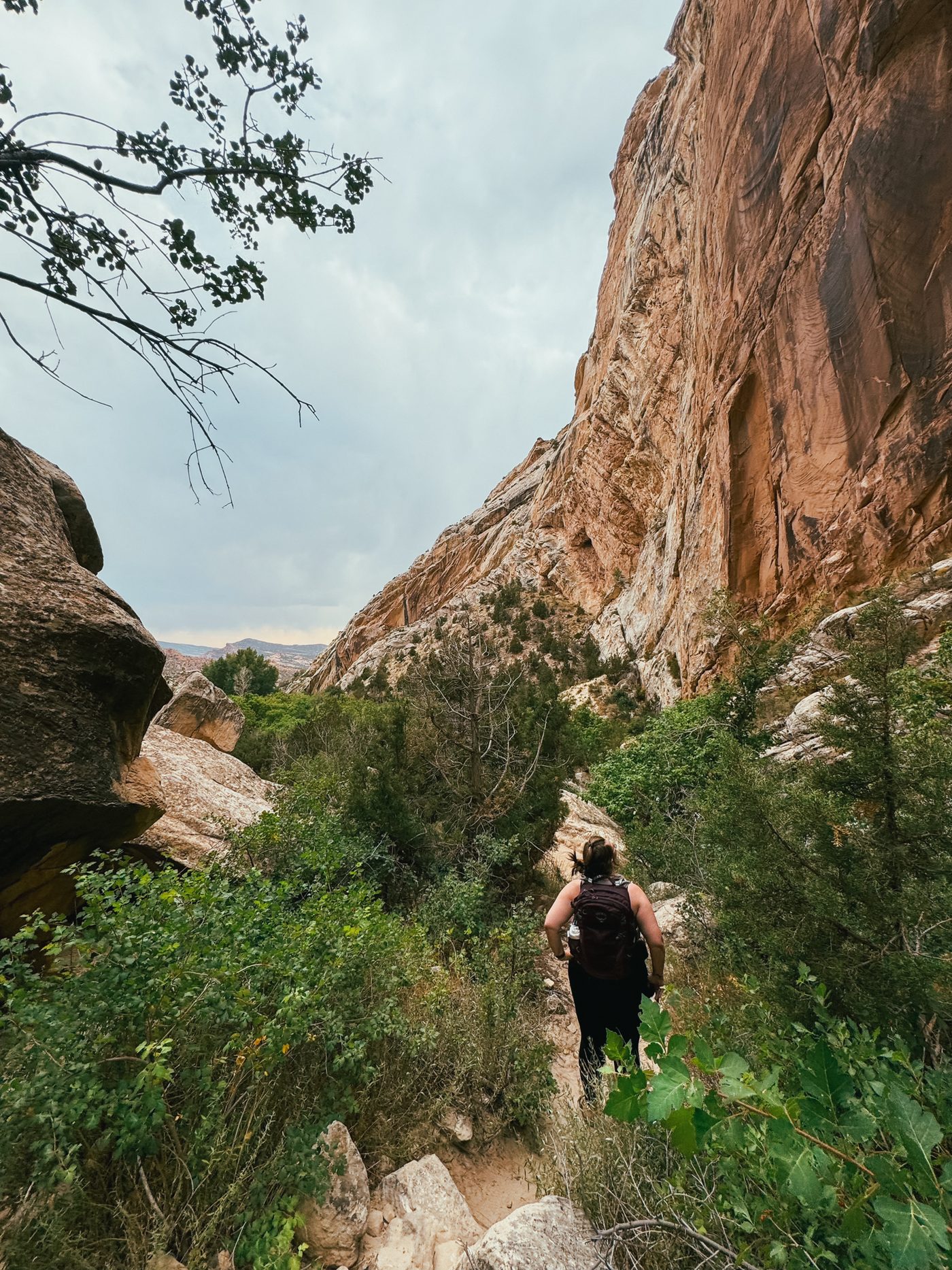 Dinosaur National Monument — photo 13