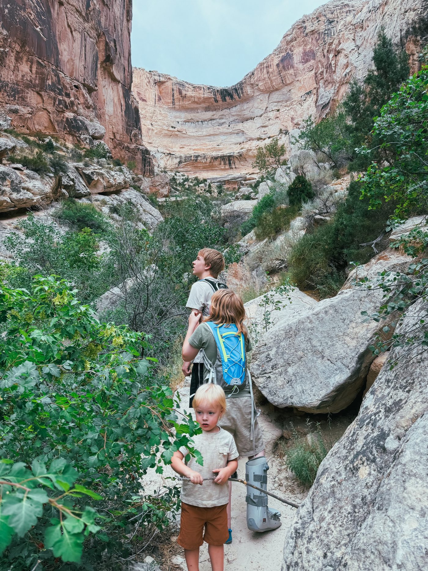 Dinosaur National Monument — photo 10