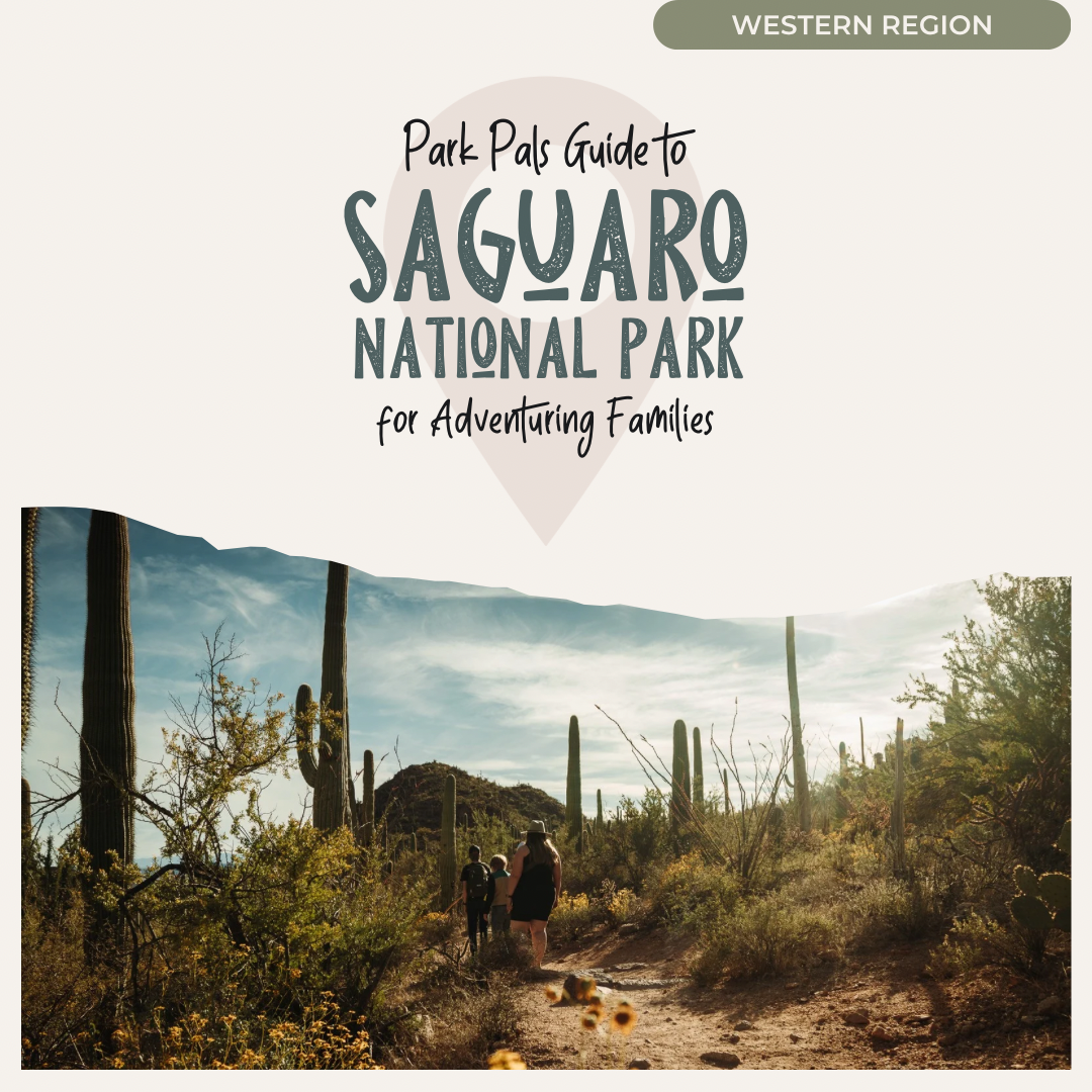 Saguaro NP Park Pals Guide cover