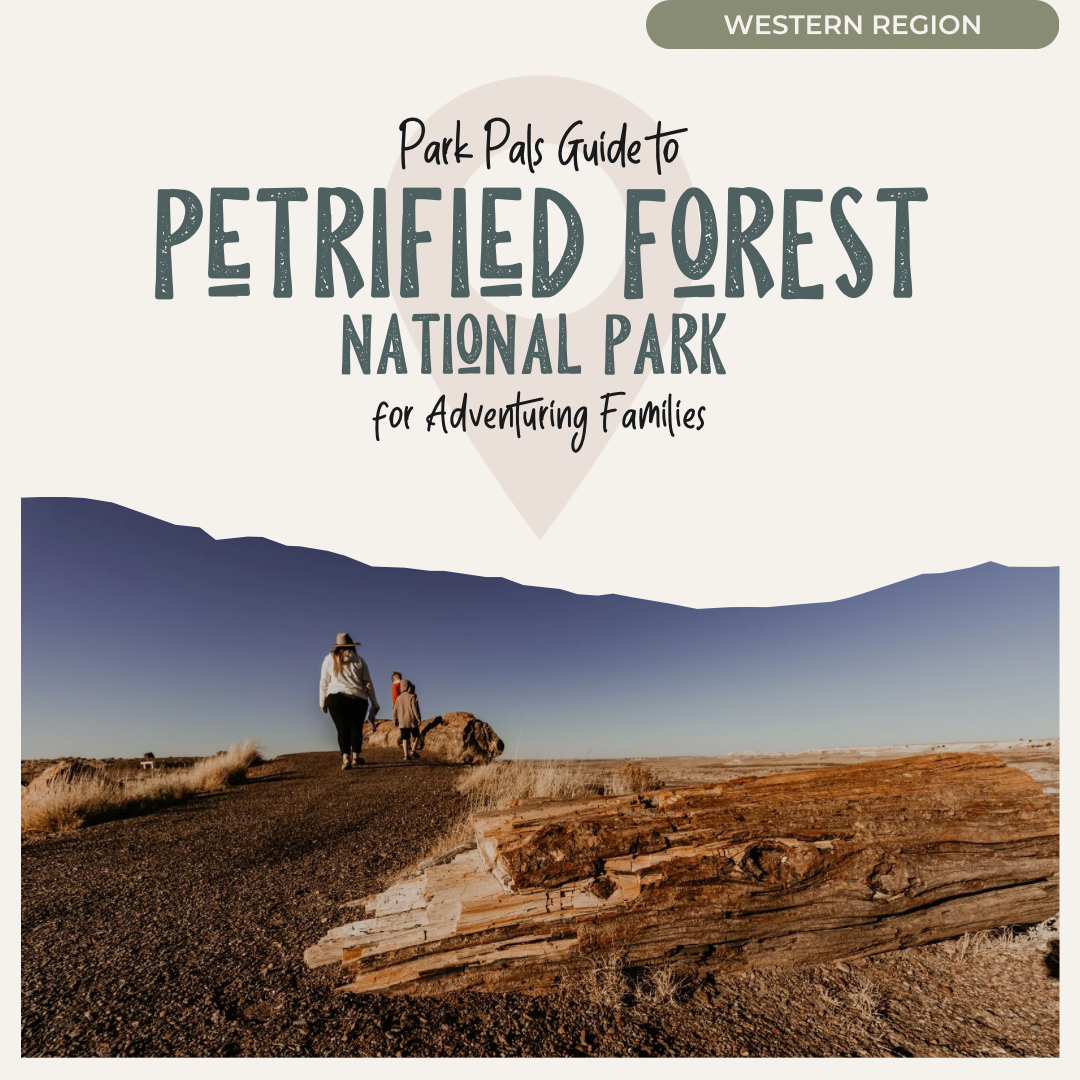 Petrified Forest NP Park Pals Guide cover