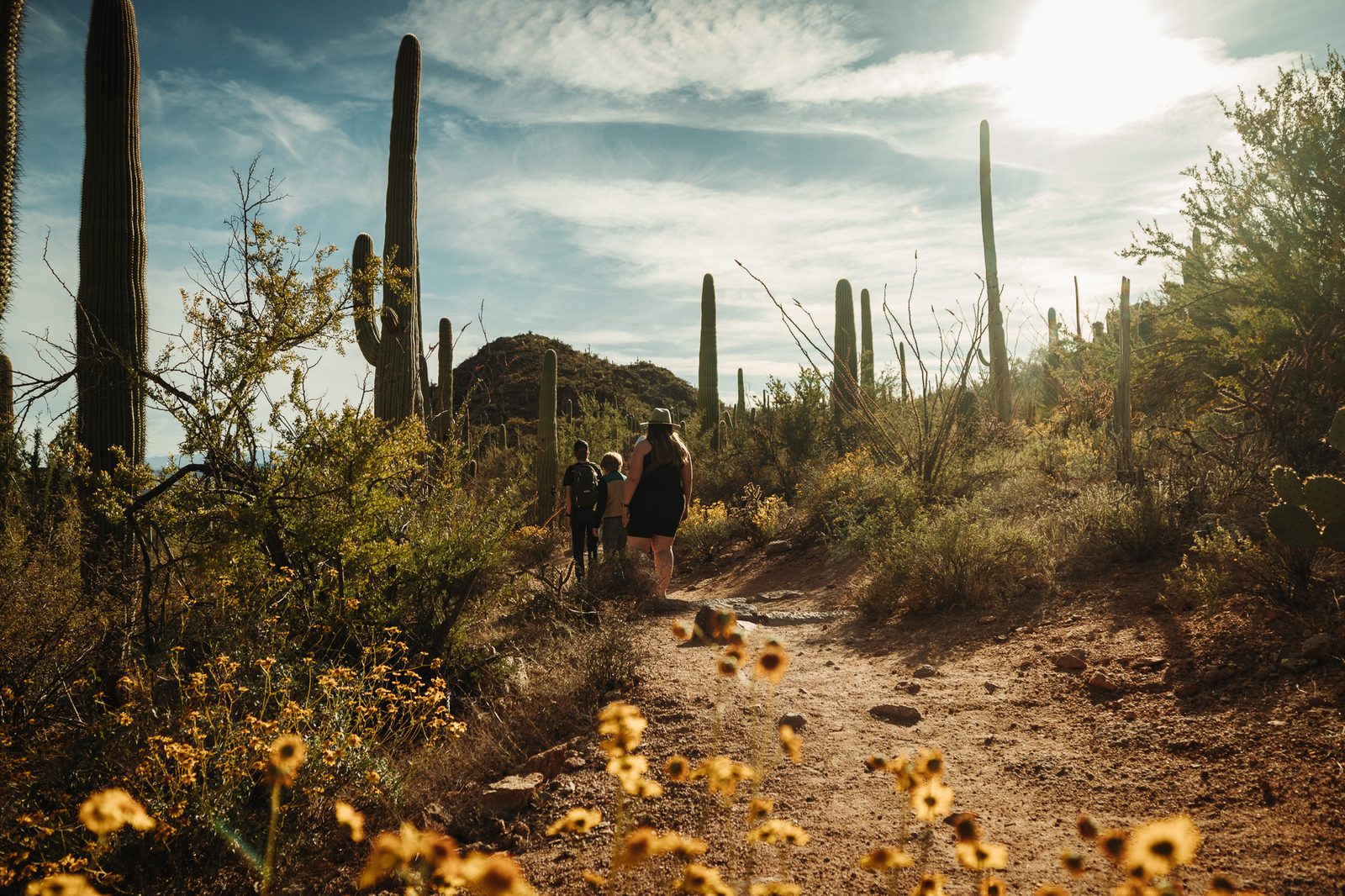 Saguaro NP